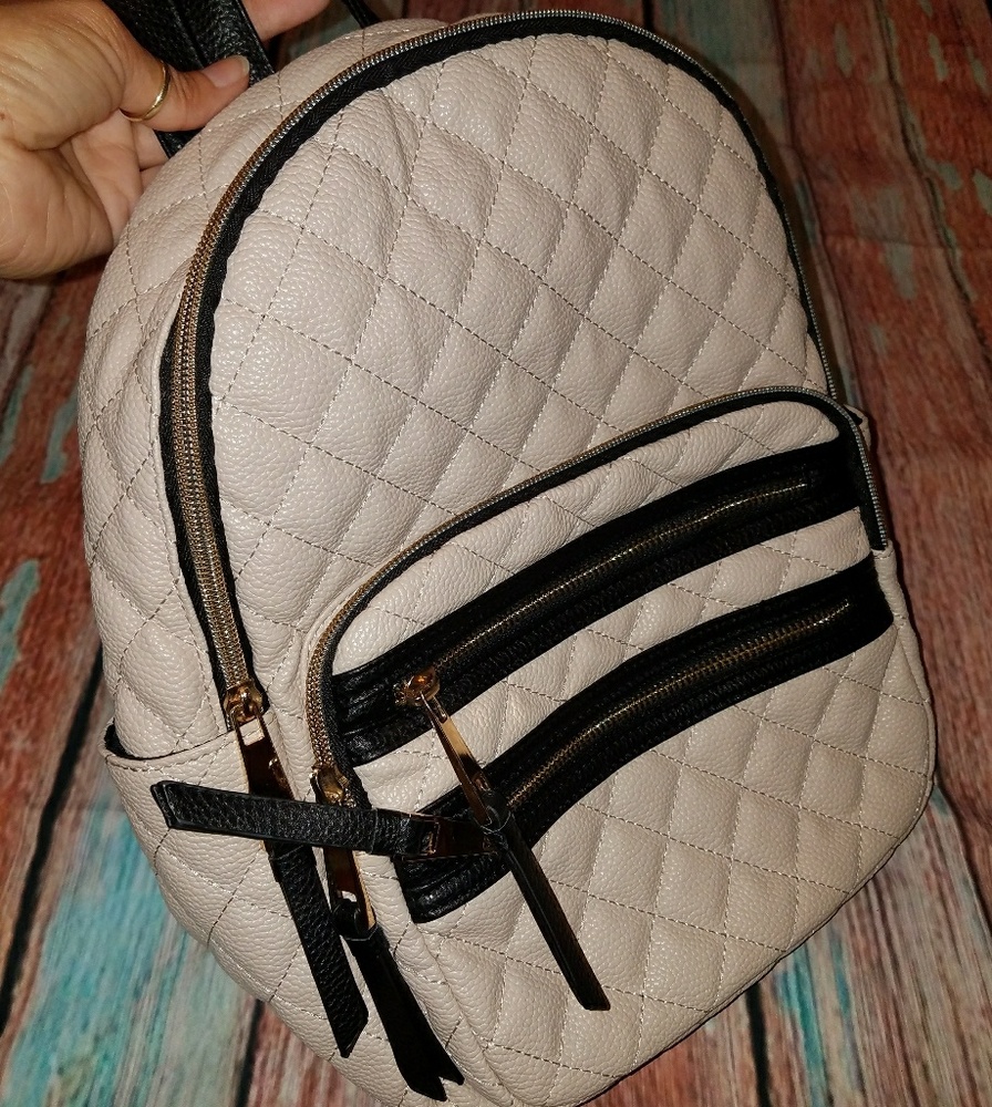 Backpack...Purse